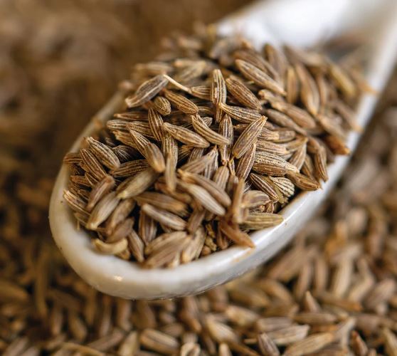 India Cumin Seeds| Jeera Seeds