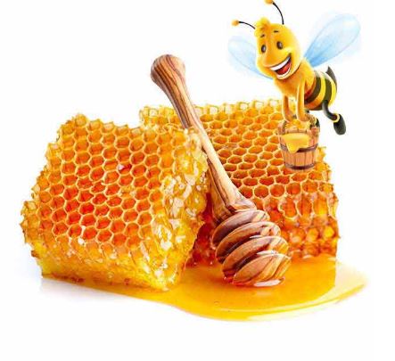 Dabur Honey World's N o.1 Honey Brand