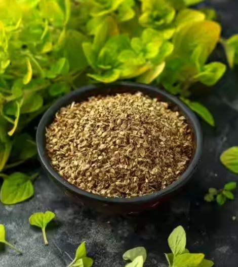 India Oregano Dried Leaves