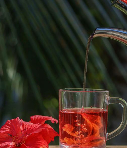 Dried Hibiscus Flower Petals (Imported)