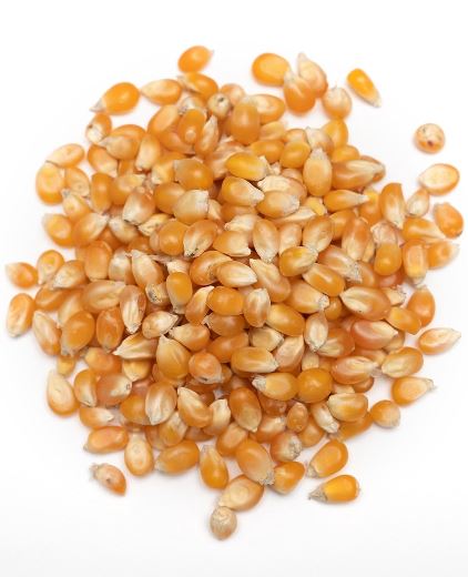 Popcorn Kernels (Uncooked)