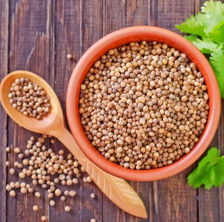 Coriander Seeds | Kulantro | Colantro