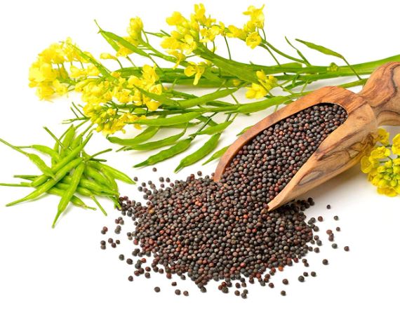 Rai Black Mustard Seeds 100g (Keto / Low Carb/ Diet Friendly)