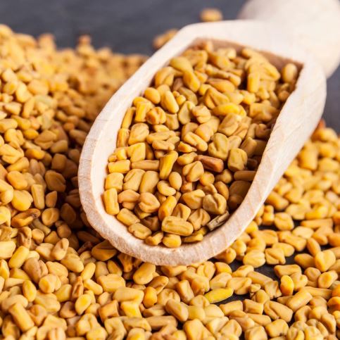 India Fenugreek Seeds (Methi)