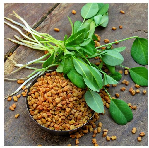 India Fenugreek Seeds (Methi)