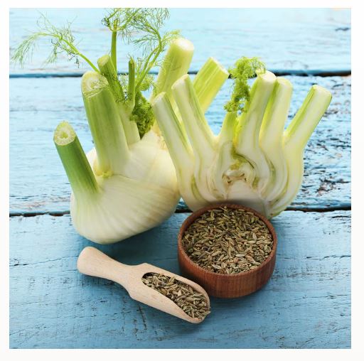 Aromatic India Green Fennel Seeds Saunf